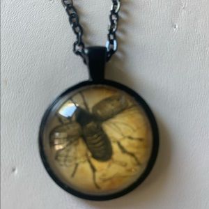 Necklace bug flying beetle